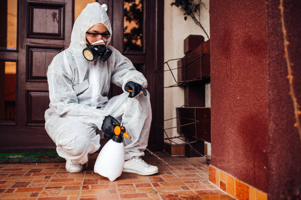 Attic and Crawl Space Rodent Treatment in Everett
